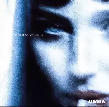 超7000款终极多格式套件插图